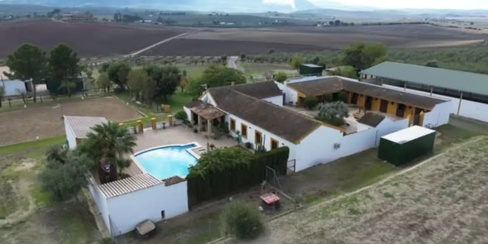 What Should International Buyers Know Before Buying an Equestrian Property Near Coín?